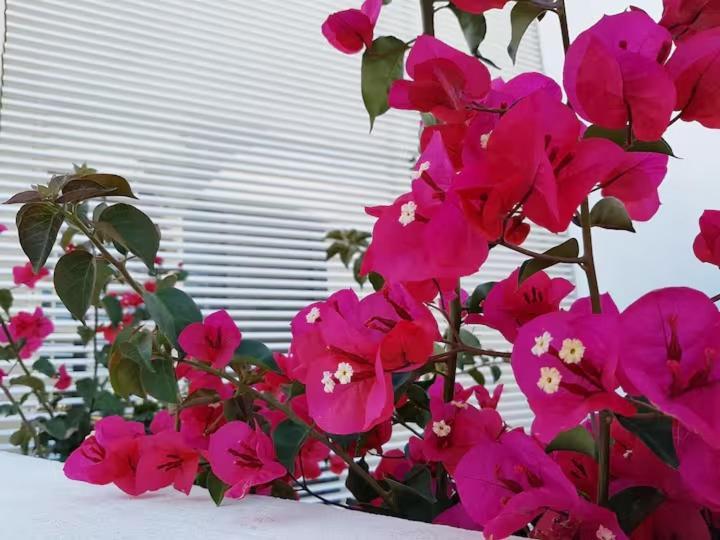 Exclusiva Casa Con Encanto En Agua Amarga 아쿠아아마르가 외부 사진
